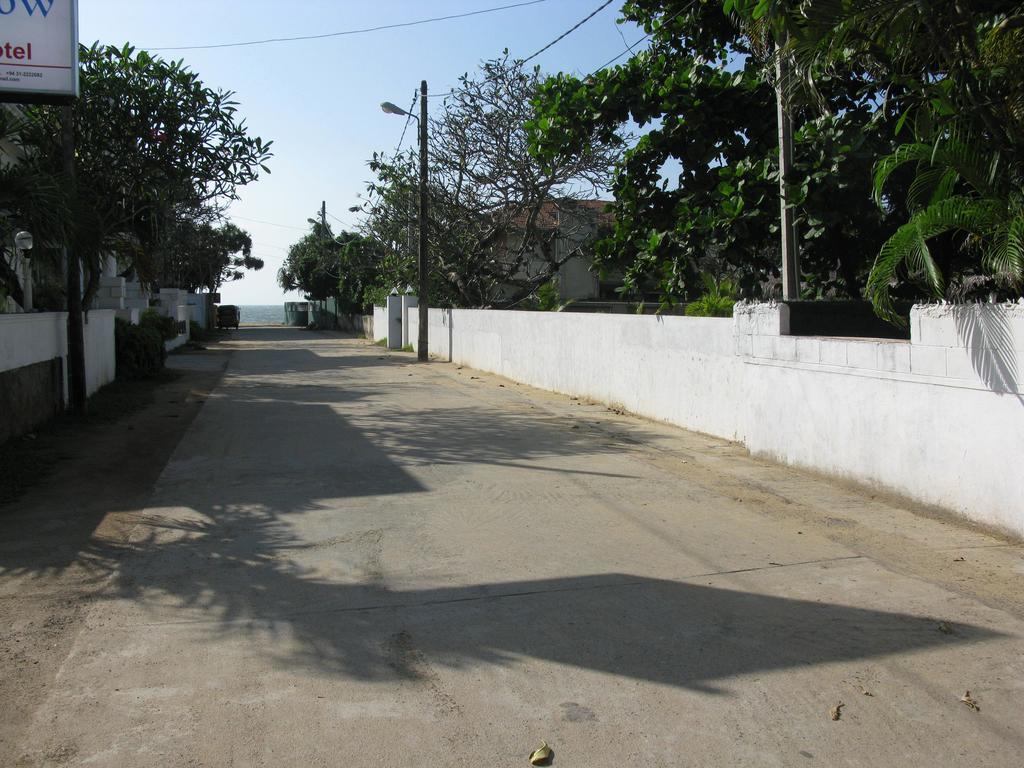 New Rani Inn Negombo Exteriör bild